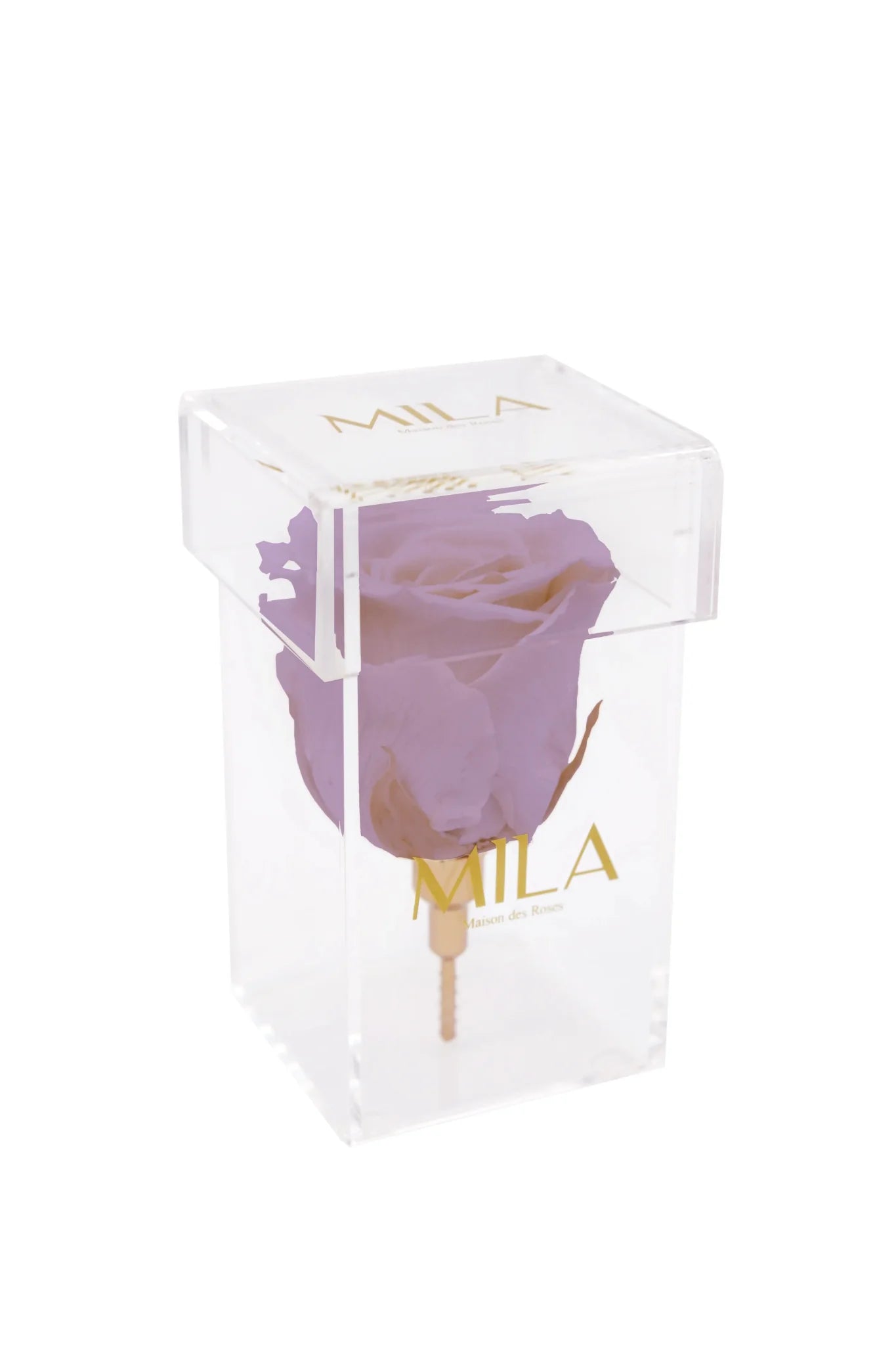 Mila Acrylic Single Stem - Mila Rose