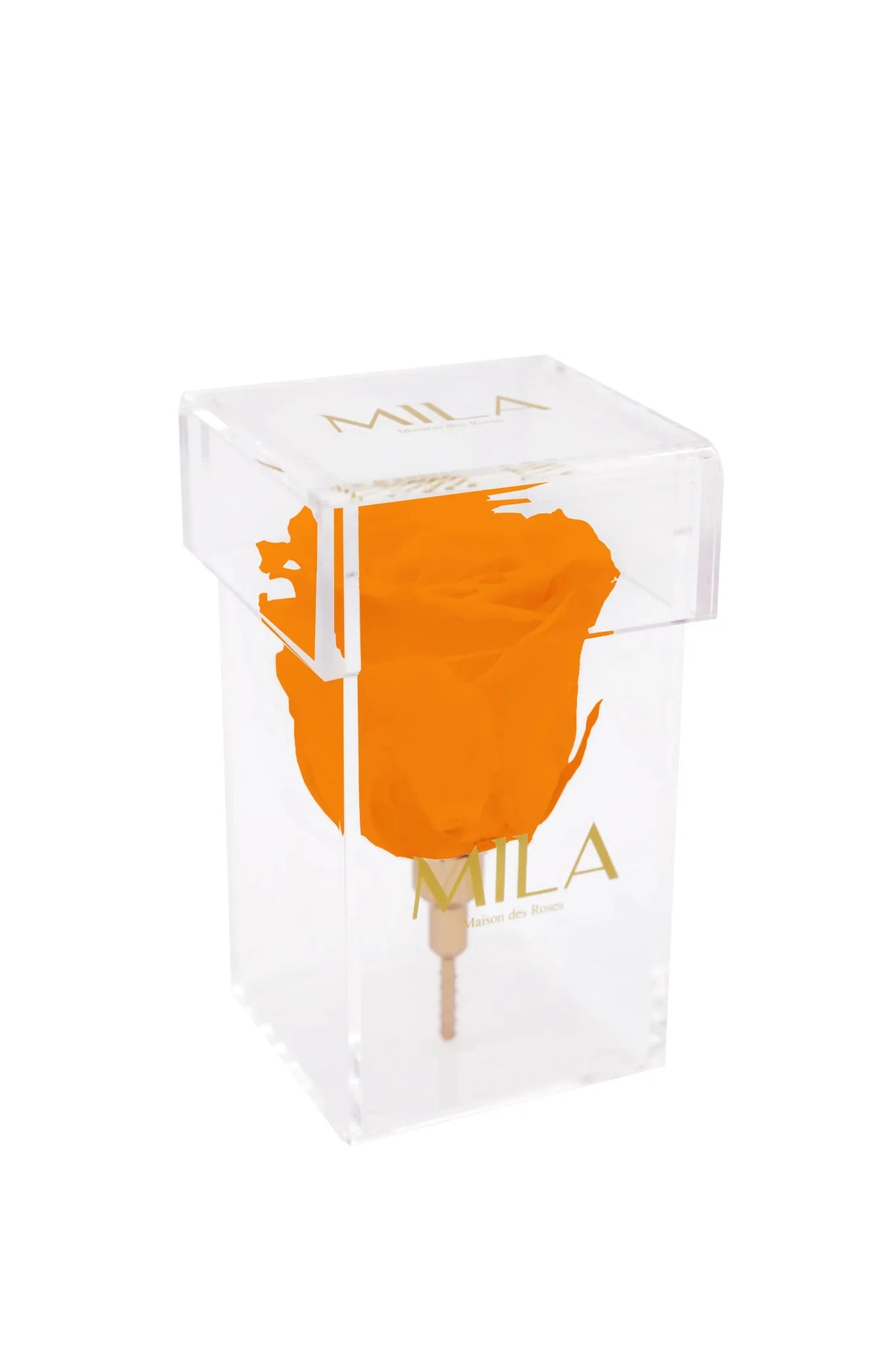 Mila Acrylic Single Stem - Mila Rose
