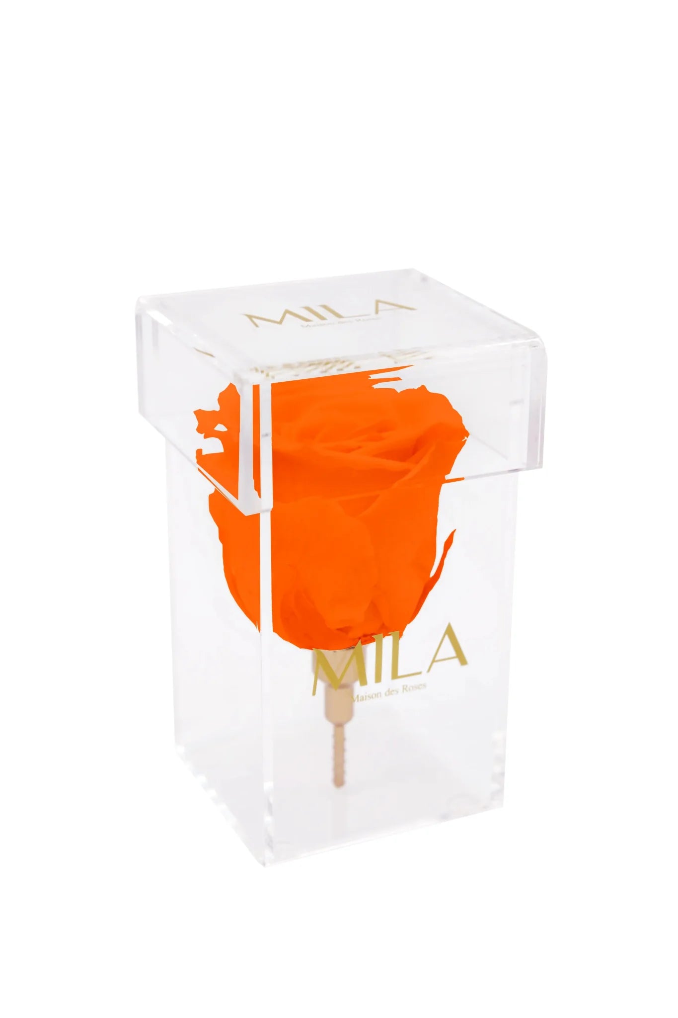 Mila Acrylic Single Stem - Mila Rose
