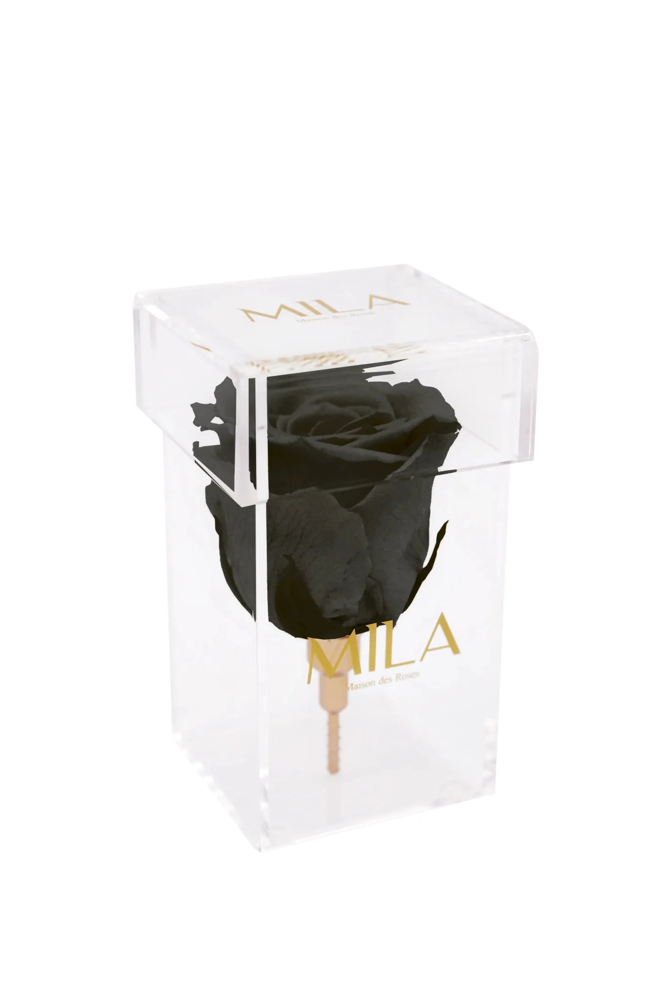 Mila Acrylic Single Stem - Mila Rose