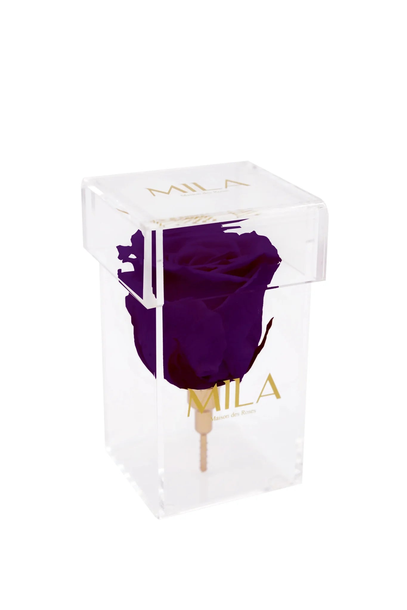 Mila Acrylic Single Stem - Mila Rose
