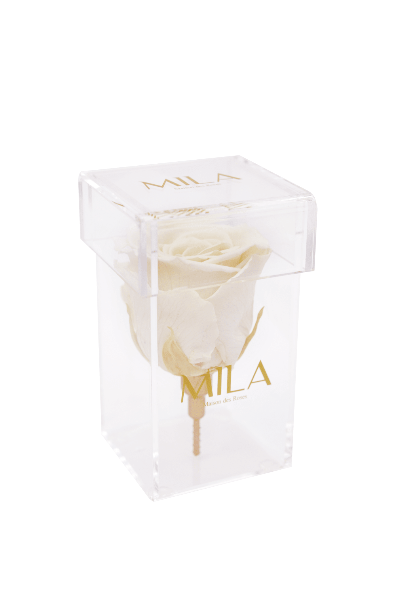 Mila Acrylic Single Stem - Mila Rose