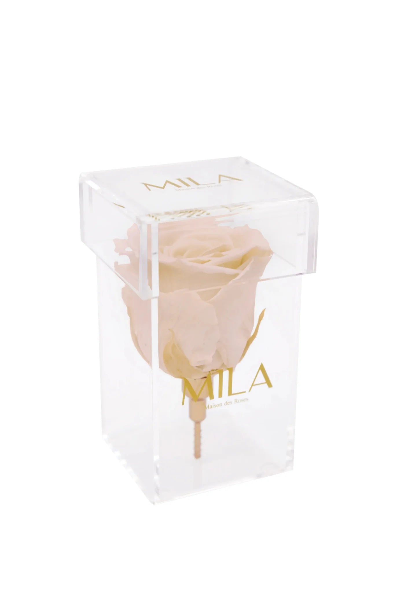 Mila Acrylic Single Stem - Mila Rose