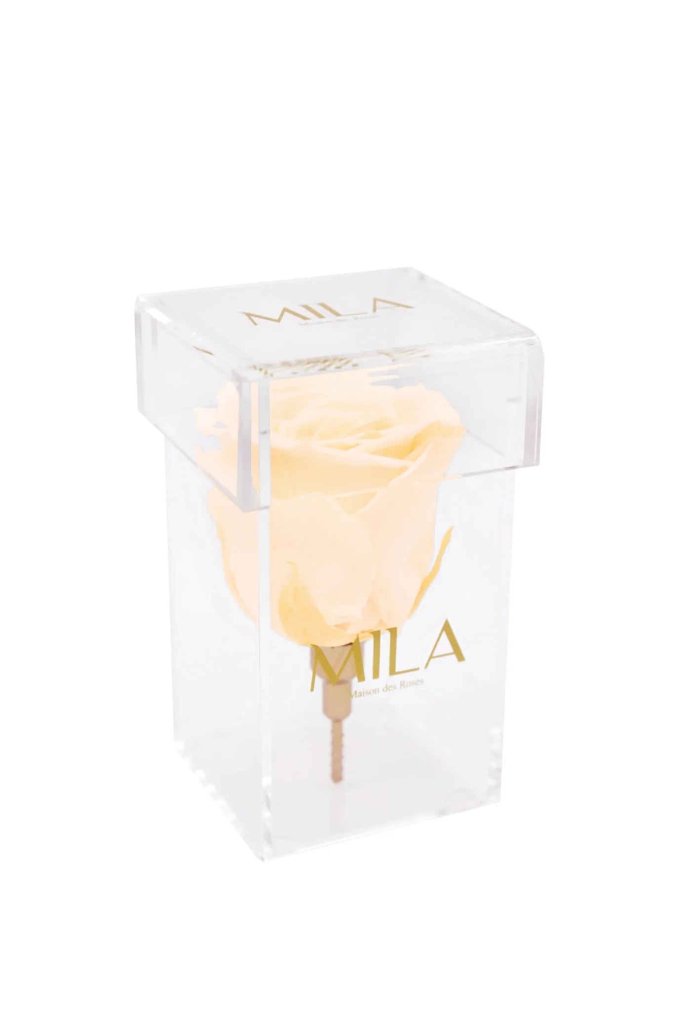 Mila Acrylic Single Stem - Mila Rose
