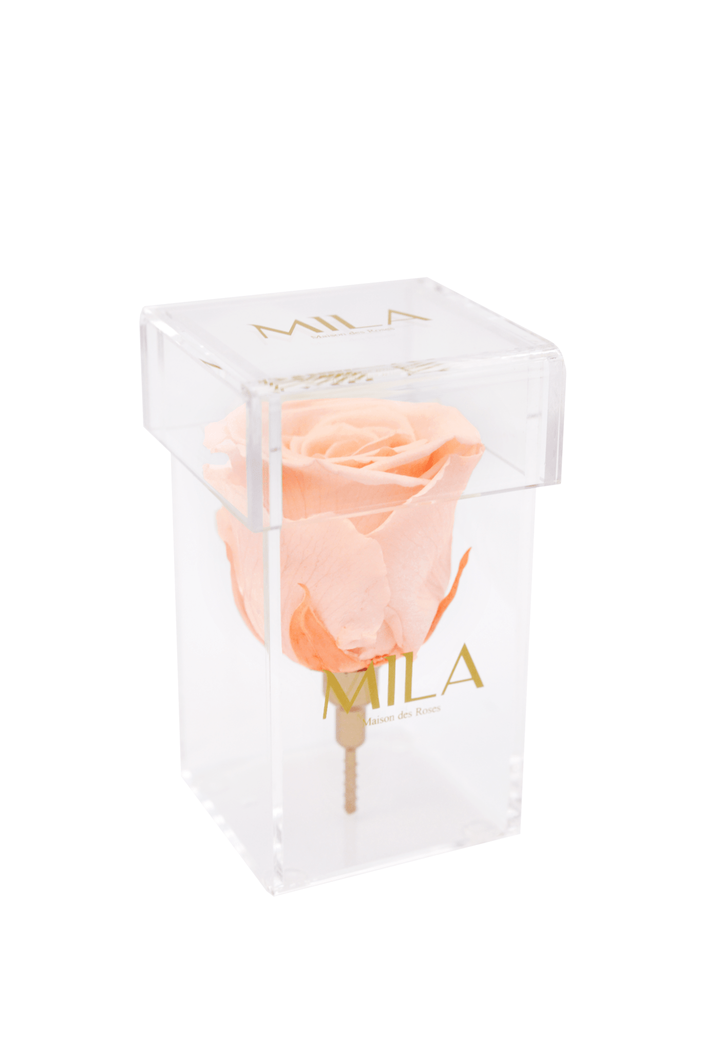 Mila Acrylic Single Stem - Mila Rose
