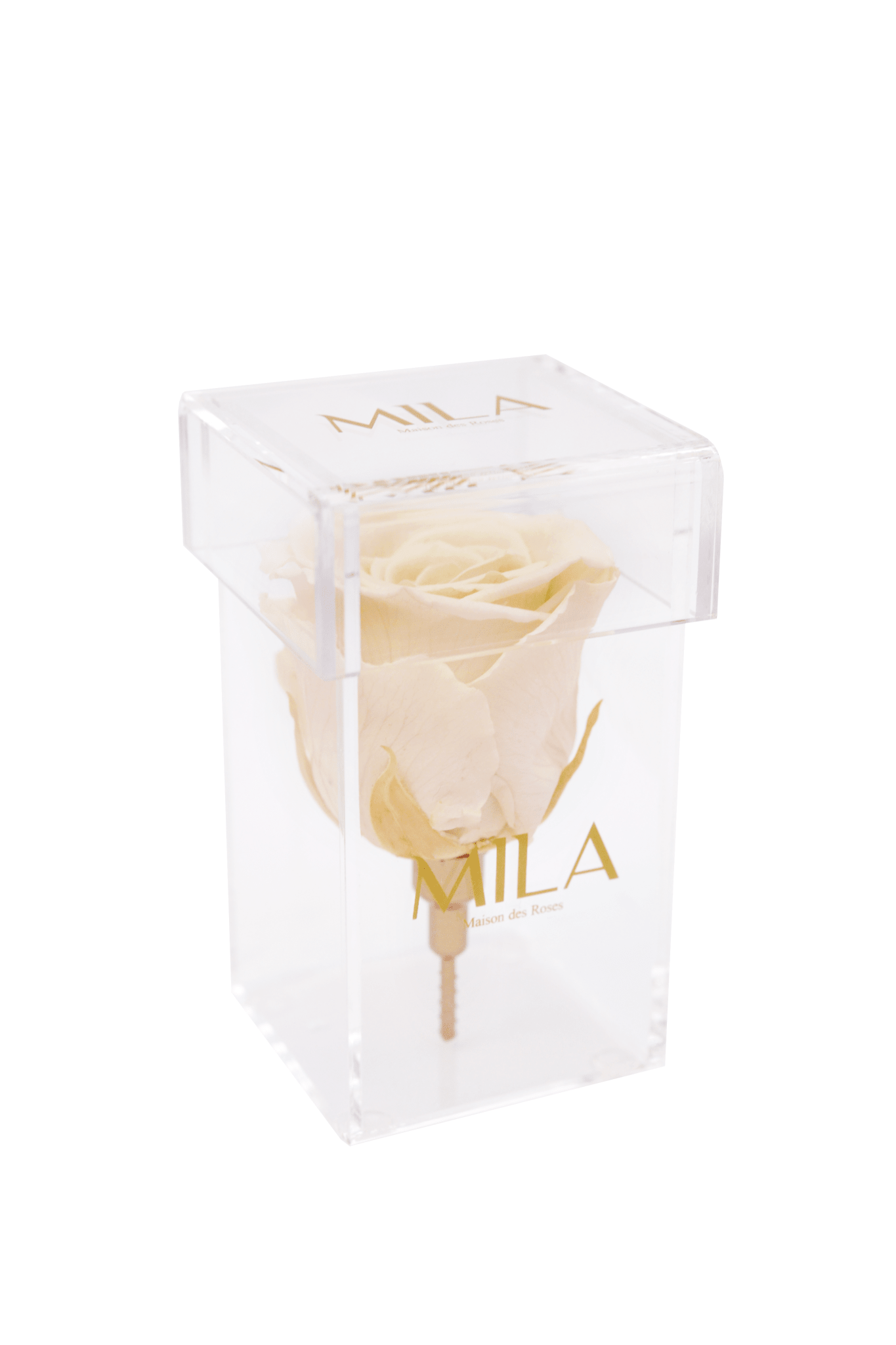 Mila Acrylic Single Stem - Mila Rose