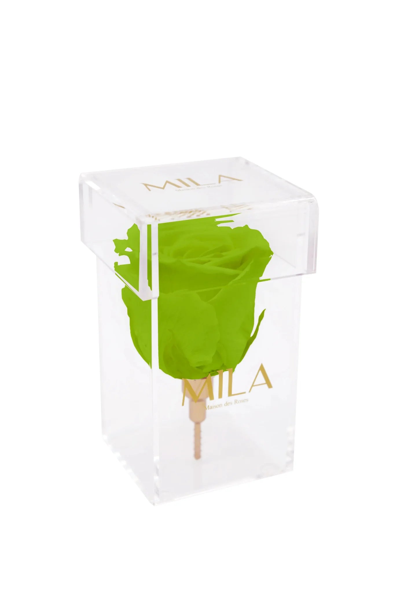 Mila Acrylic Single Stem - Mila Rose
