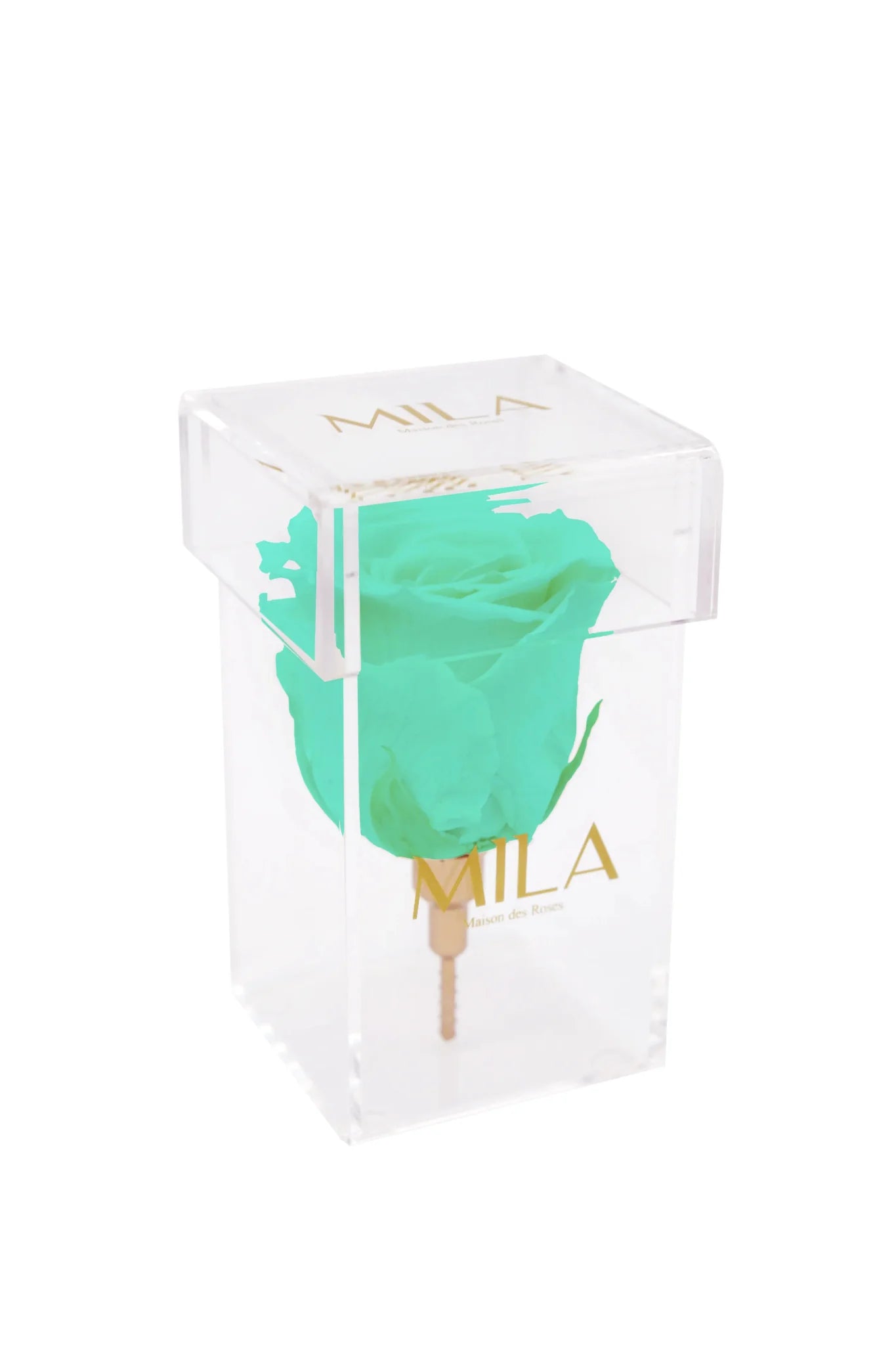 Mila Acrylic Single Stem - Mila Rose