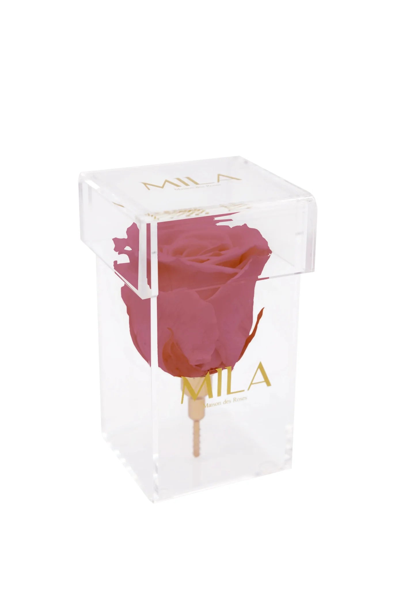 Mila Acrylic Single Stem - Mila Rose
