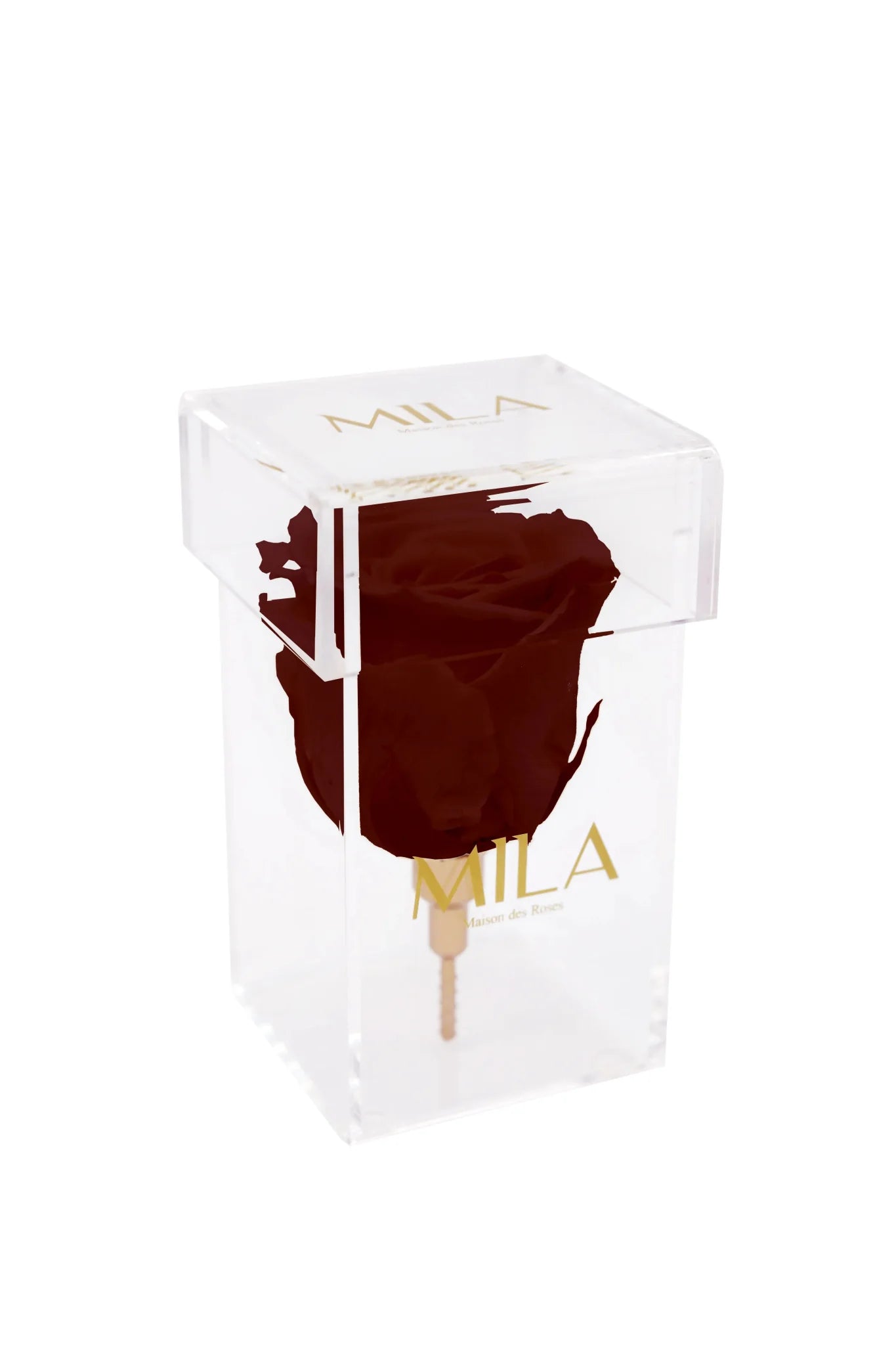 Mila Acrylic Single Stem - Mila Rose