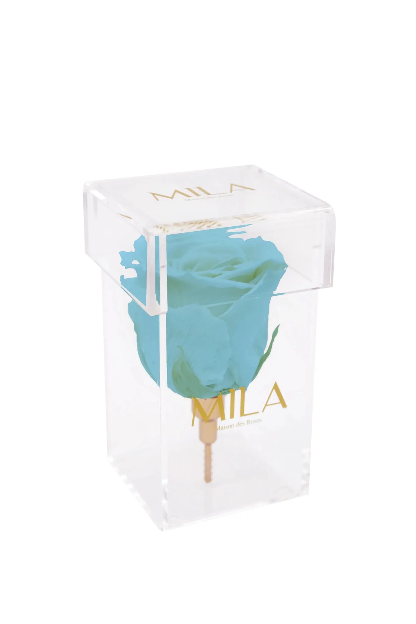 Mila Acrylic Single Stem - Mila Rose