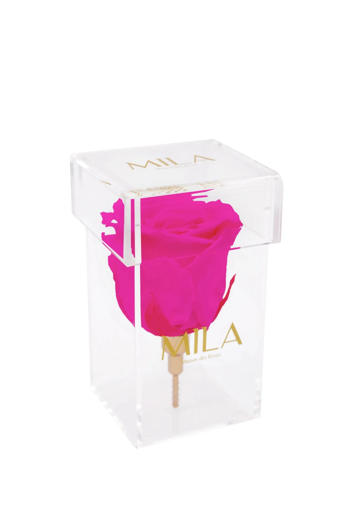 Mila Acrylic Single Stem - Mila Rose