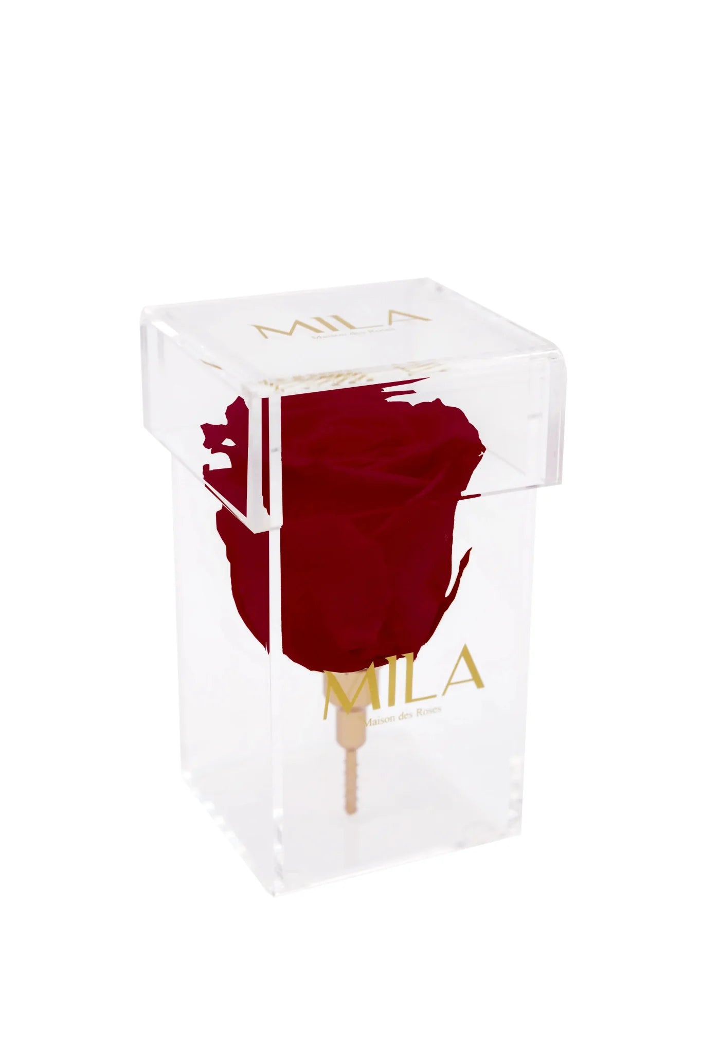 Mila Acrylic Single Stem - Mila Rose