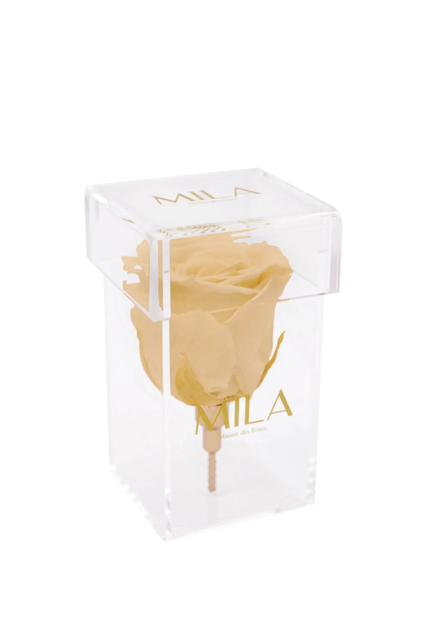Mila Acrylic Single Stem - Mila Rose