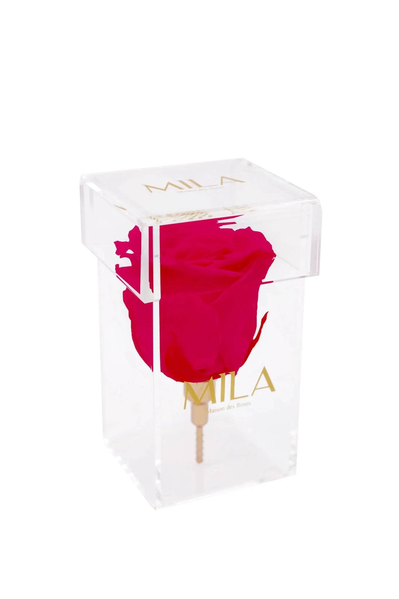 Mila Acrylic Single Stem - Mila Rose