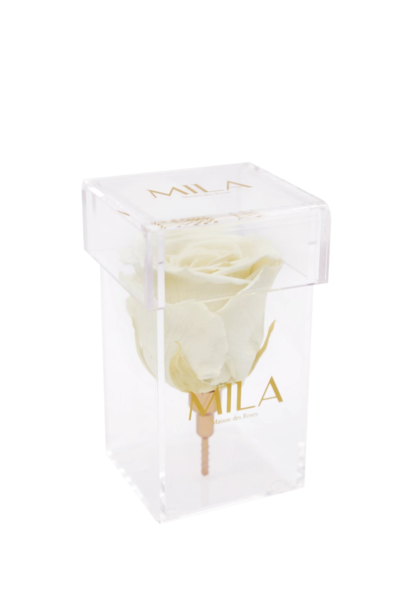 Mila Acrylic Single Stem - Mila Rose