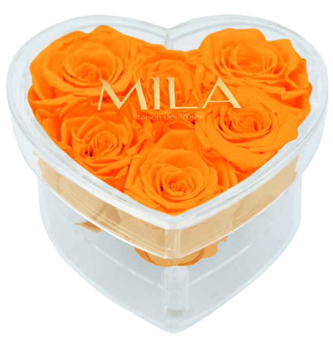 Mila Acrylic Small Heart - Mila Rose