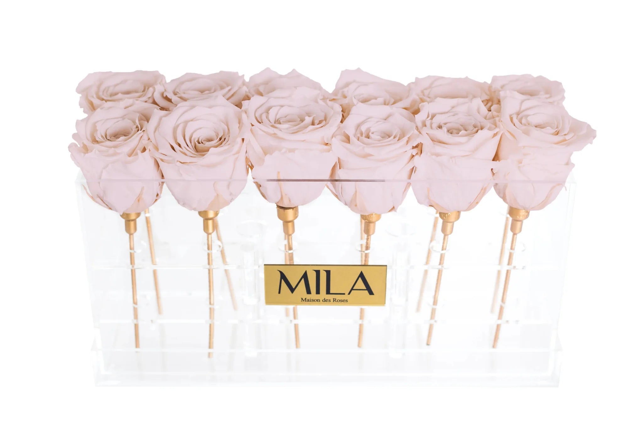 Mila Acrylic Table - Mila Rose