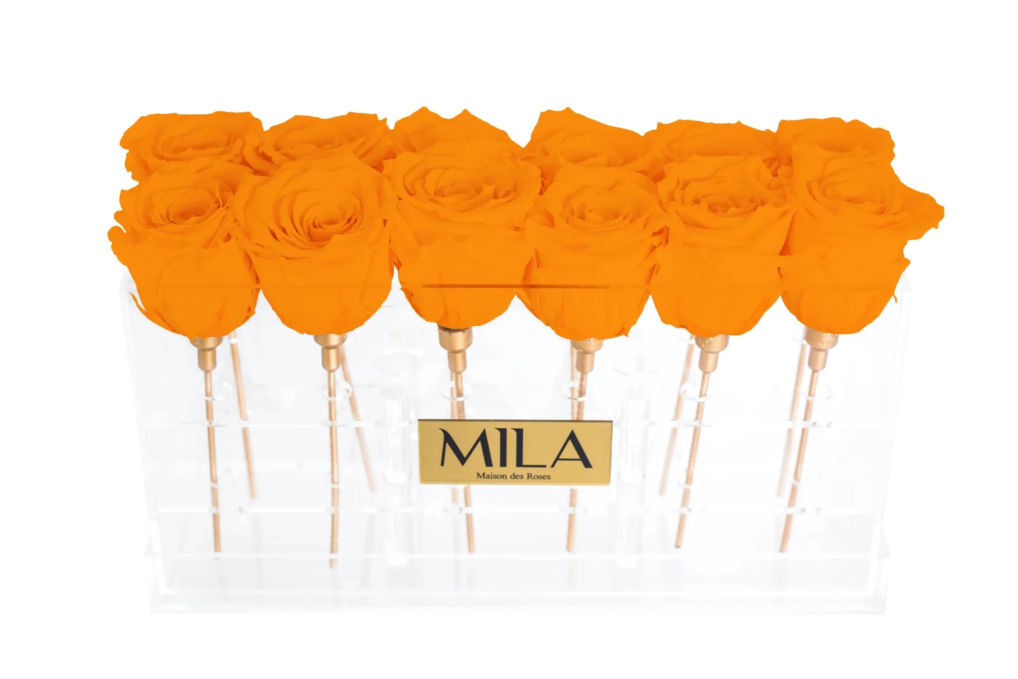 Mila Acrylic Table - Mila Rose