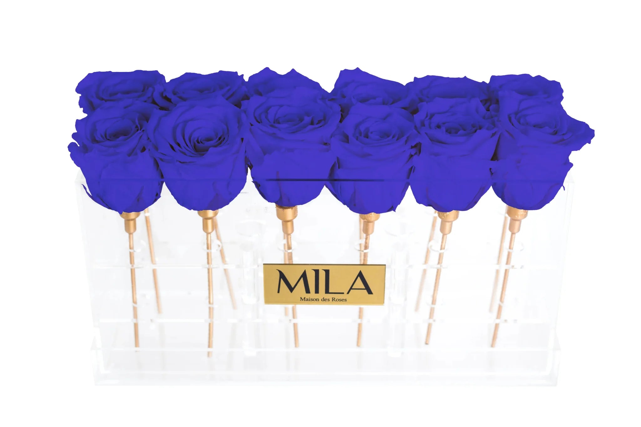 Mila Acrylic Table - Mila Rose