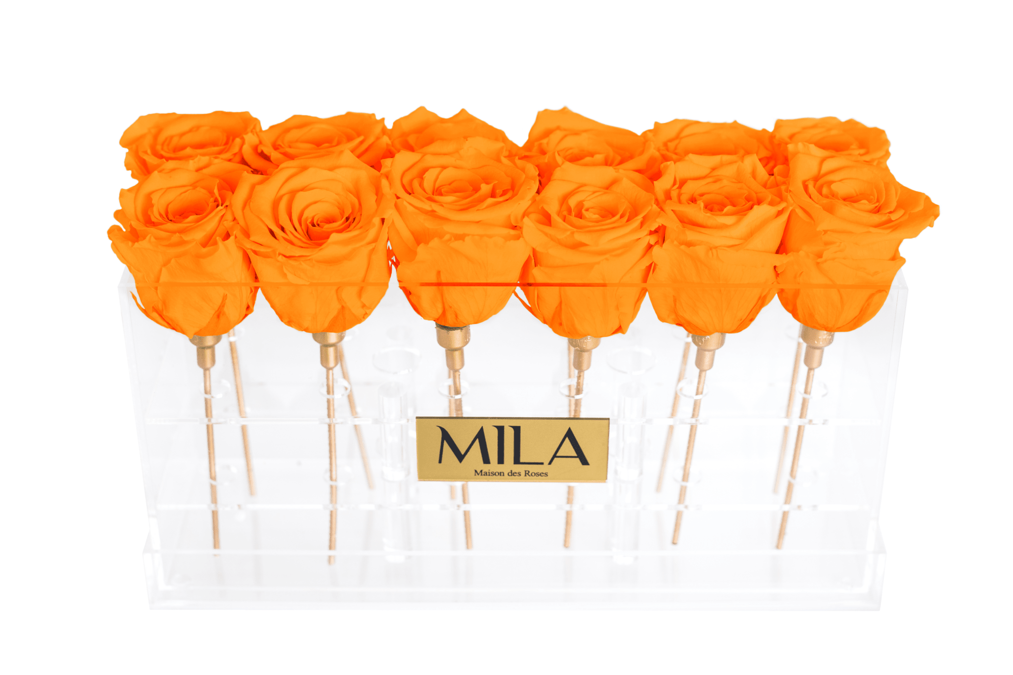 Mila Acrylic Table - Mila Rose