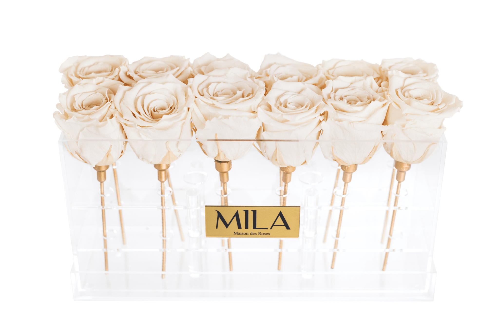 Mila Acrylic Table - Mila Rose