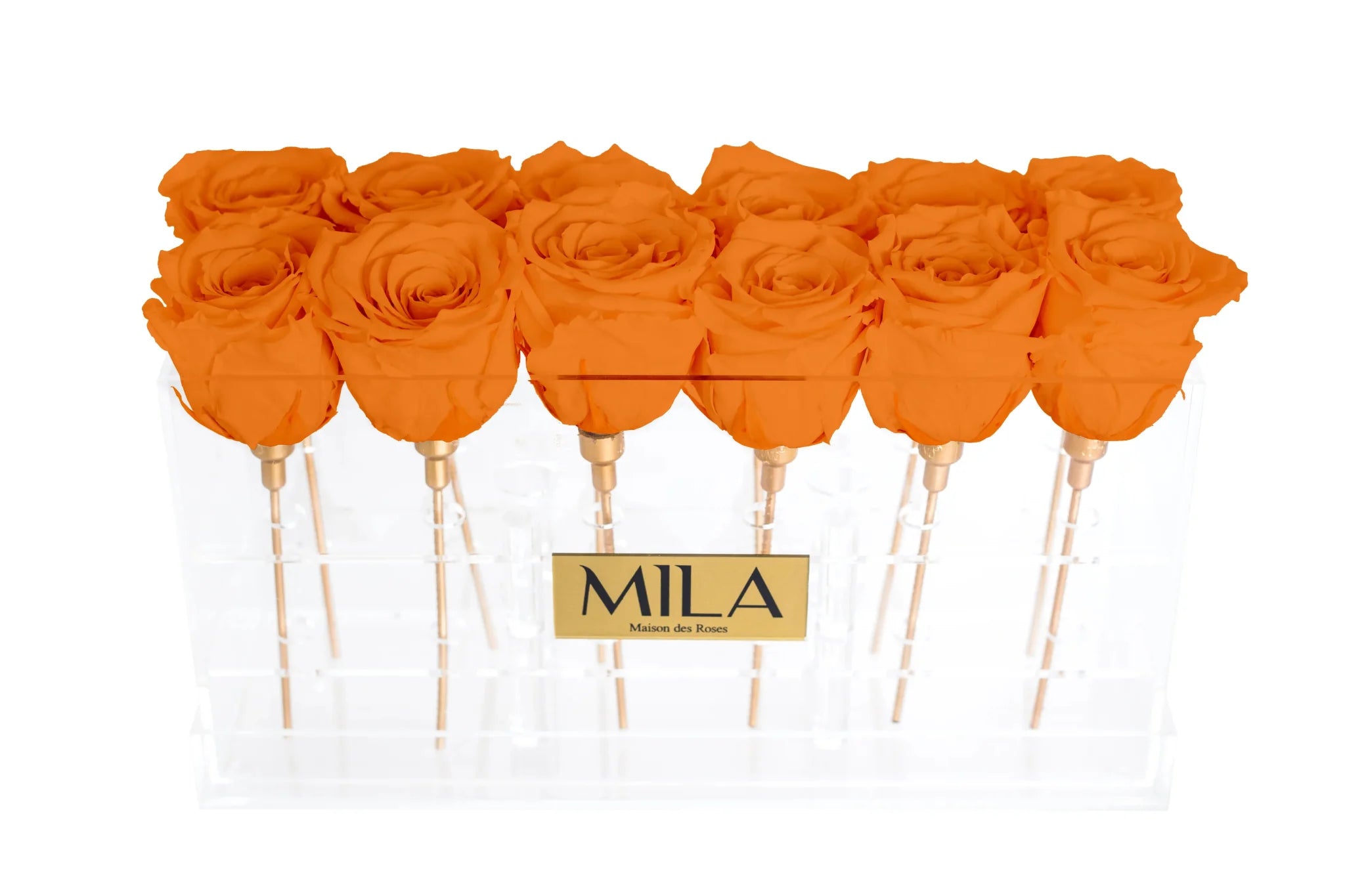 Mila Acrylic Table - Mila Rose