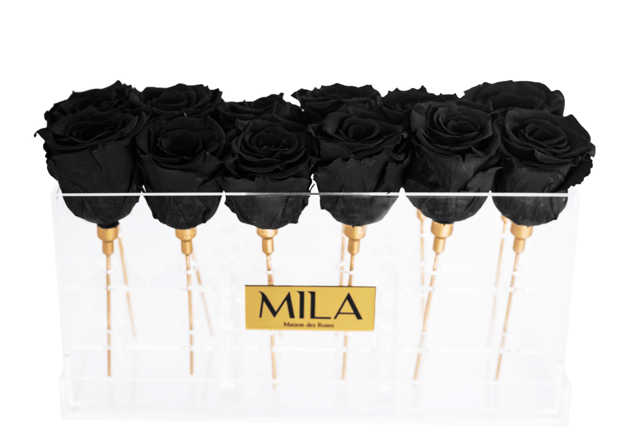 Mila Acrylic Table - Mila Rose
