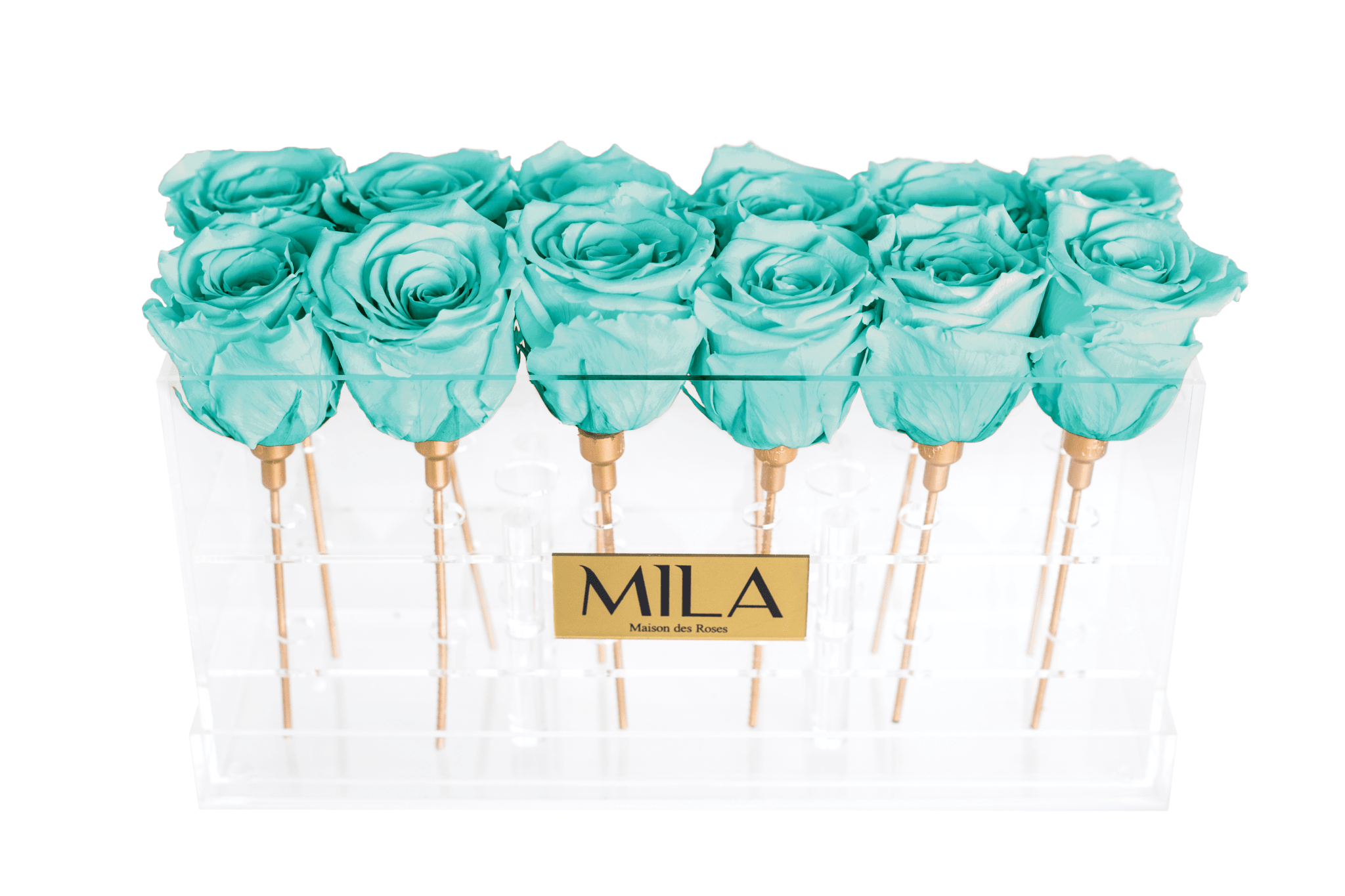 Mila Acrylic Table - Mila Rose