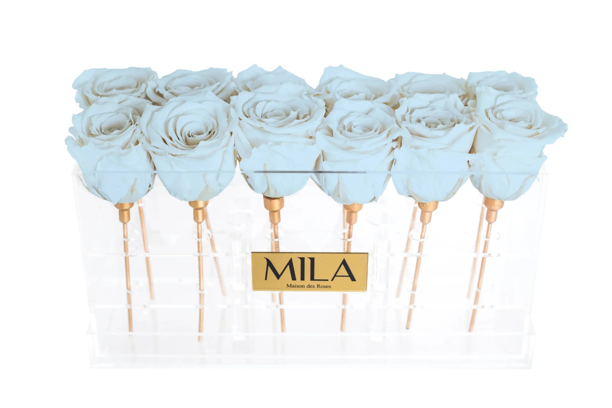 Mila Acrylic Table - Mila Rose