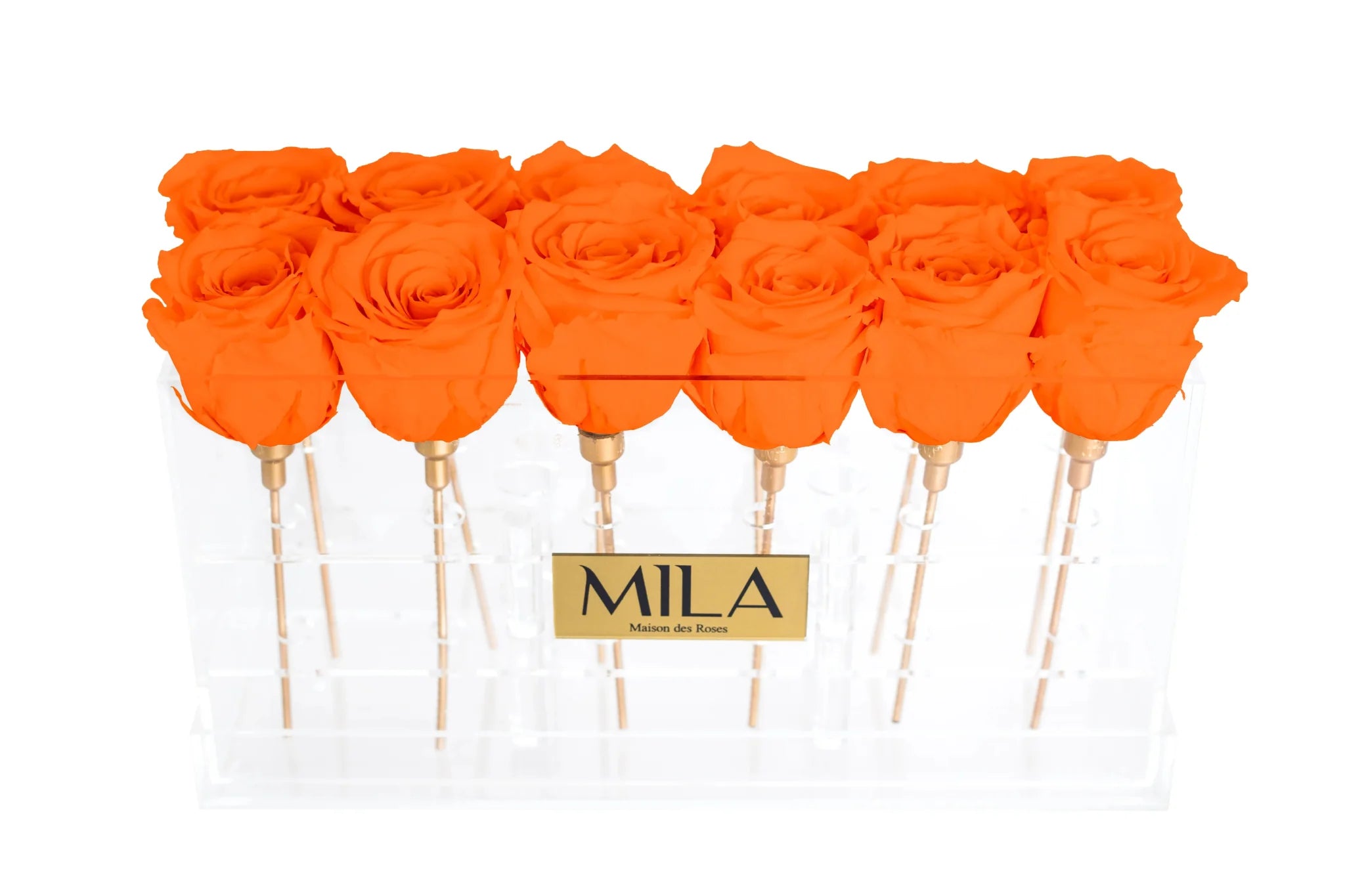 Mila Acrylic Table - Mila Rose