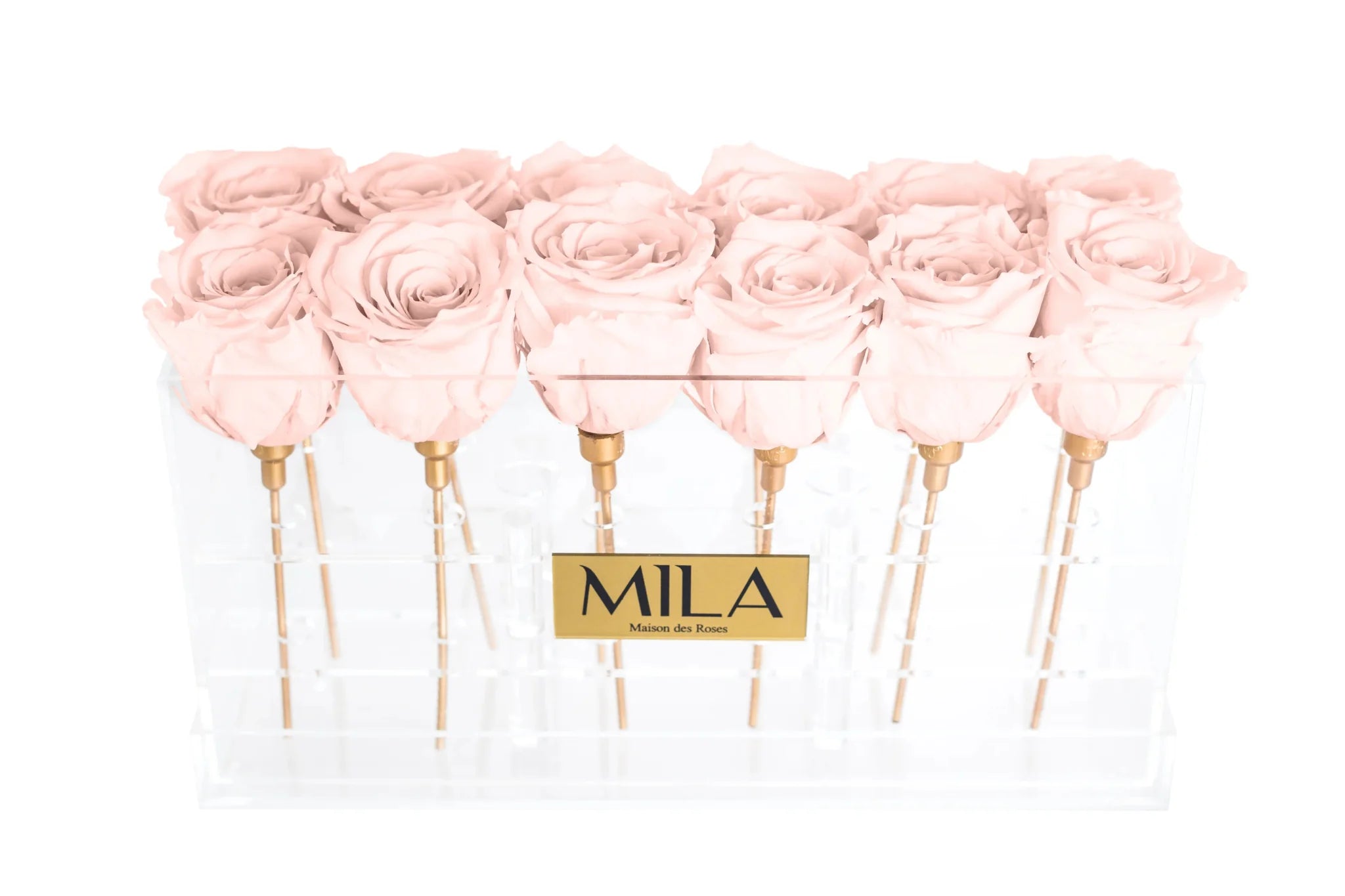 Mila Acrylic Table - Mila Rose