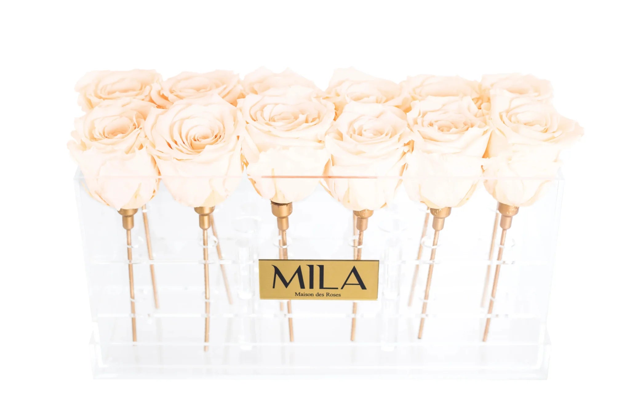 Mila Acrylic Table - Mila Rose
