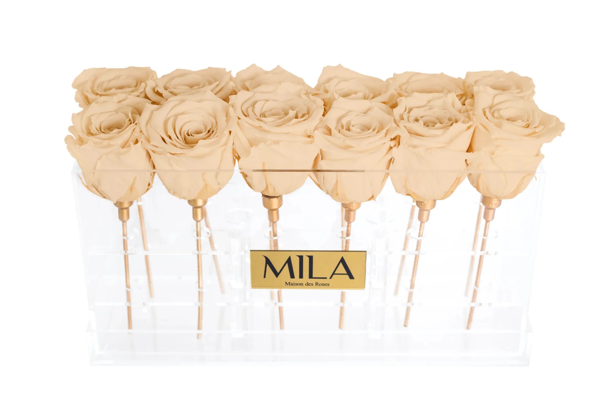 Mila Acrylic Table - Mila Rose