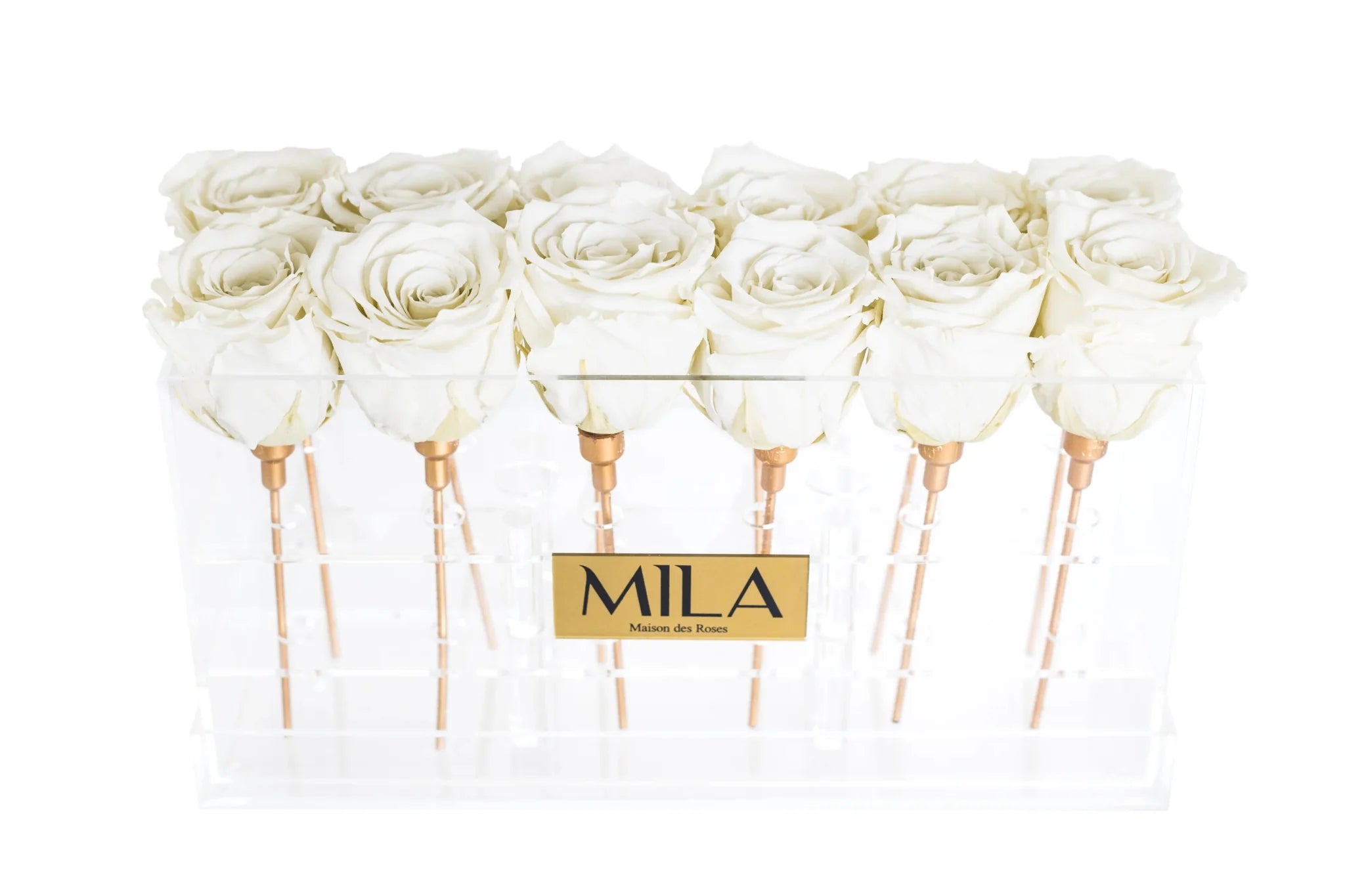 Mila Acrylic Table - Mila Rose