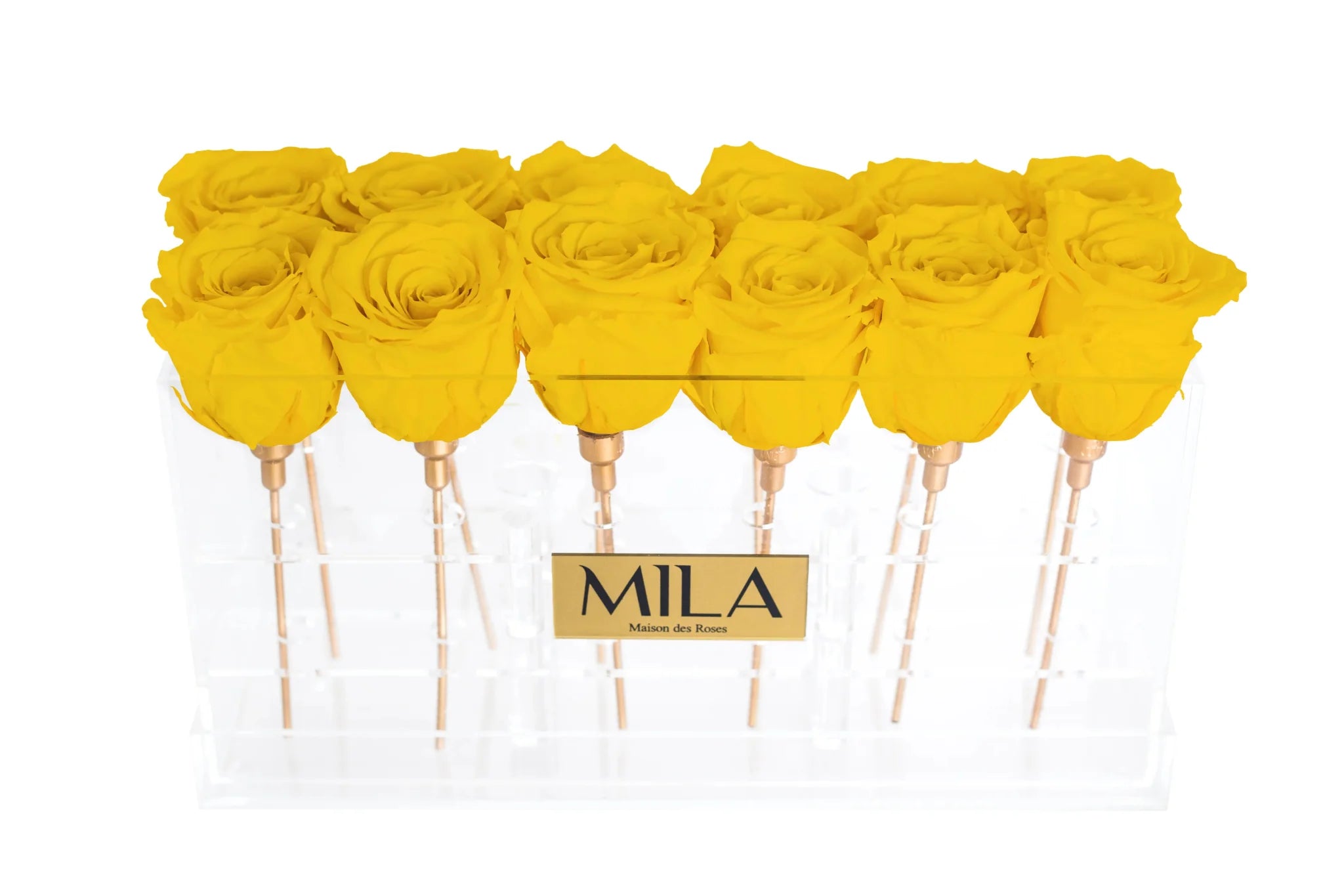Mila Acrylic Table - Mila Rose