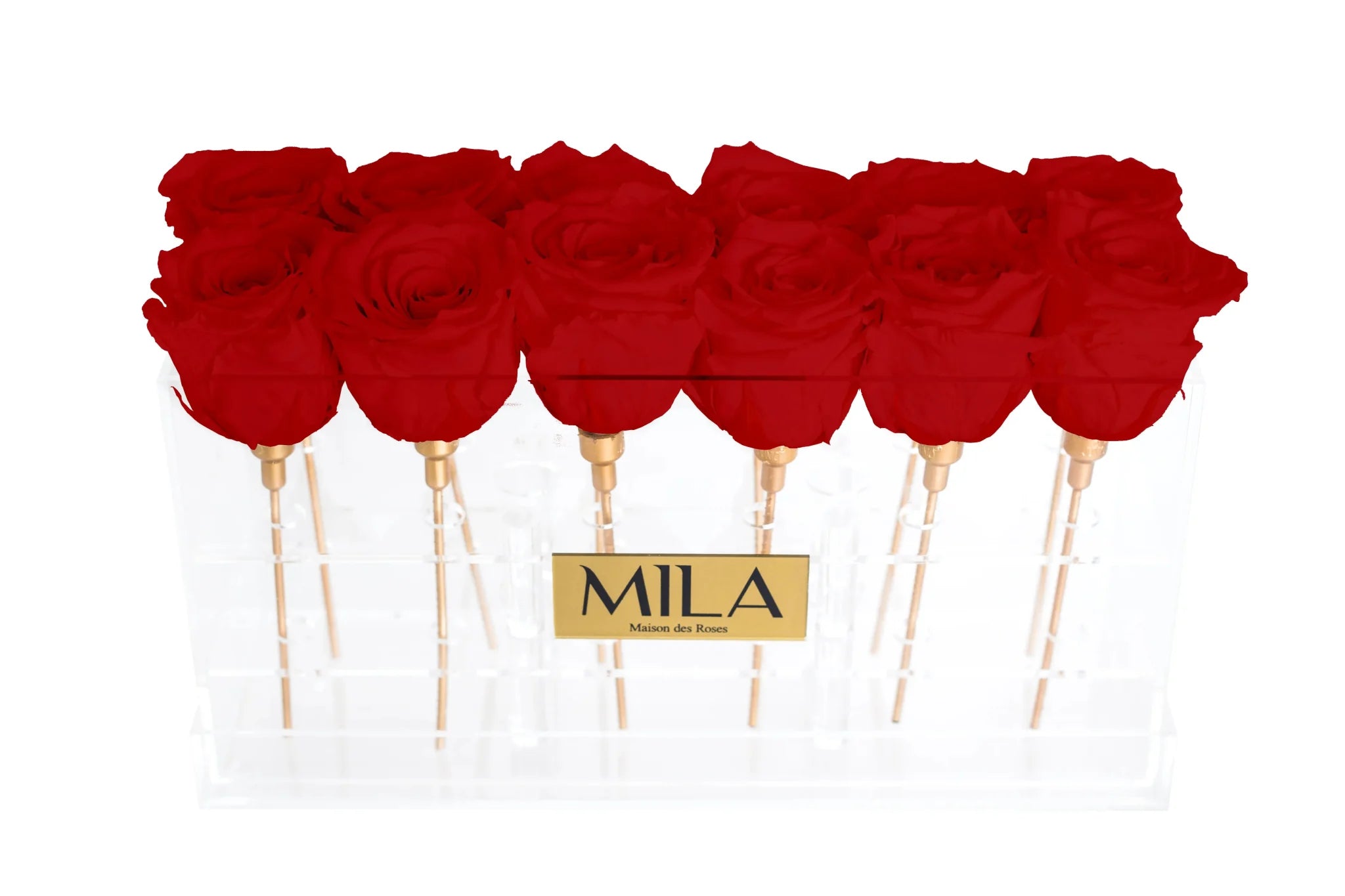 Mila Acrylic Table - Mila Rose