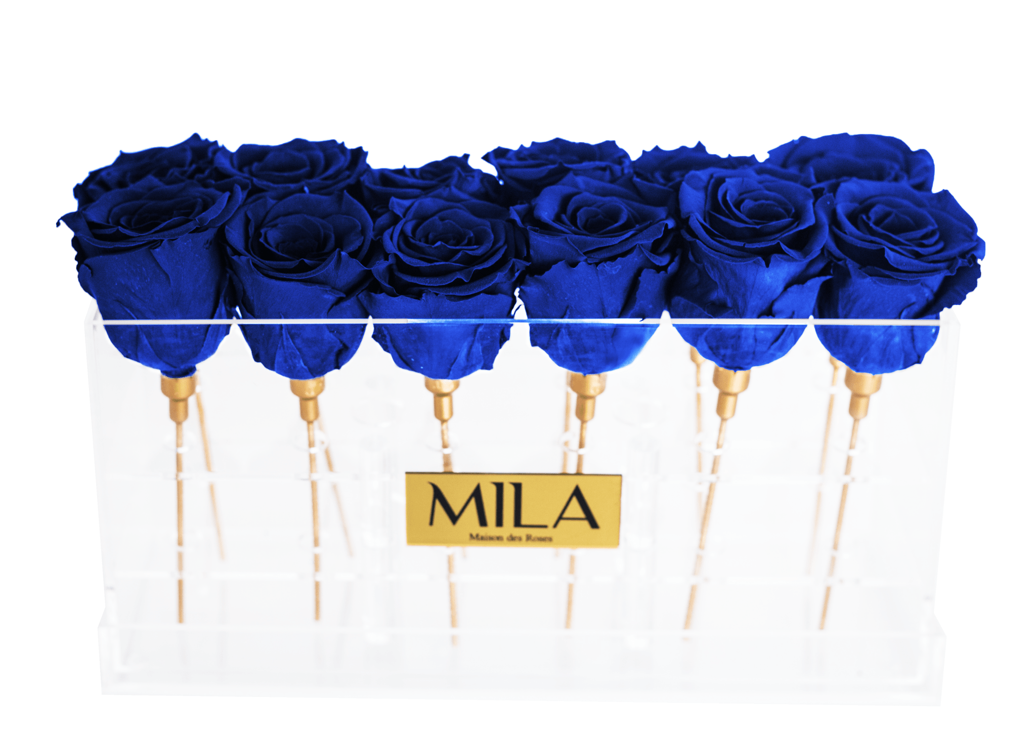 Mila Acrylic Table - Mila Rose