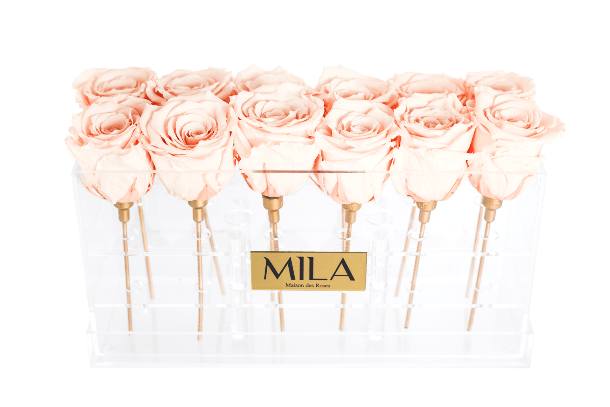 Mila Acrylic Table - Mila Rose