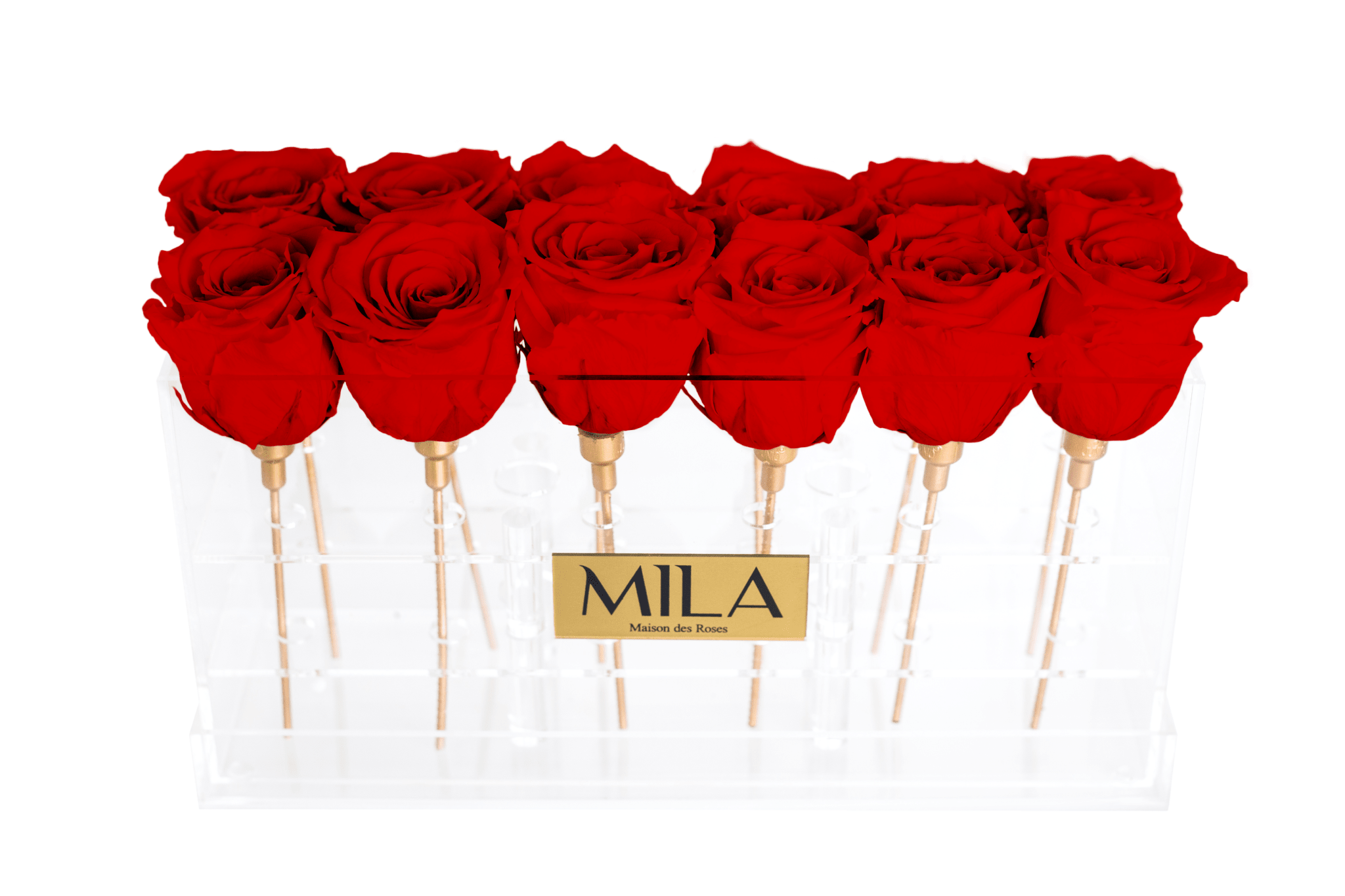 Mila Acrylic Table - Mila Rose