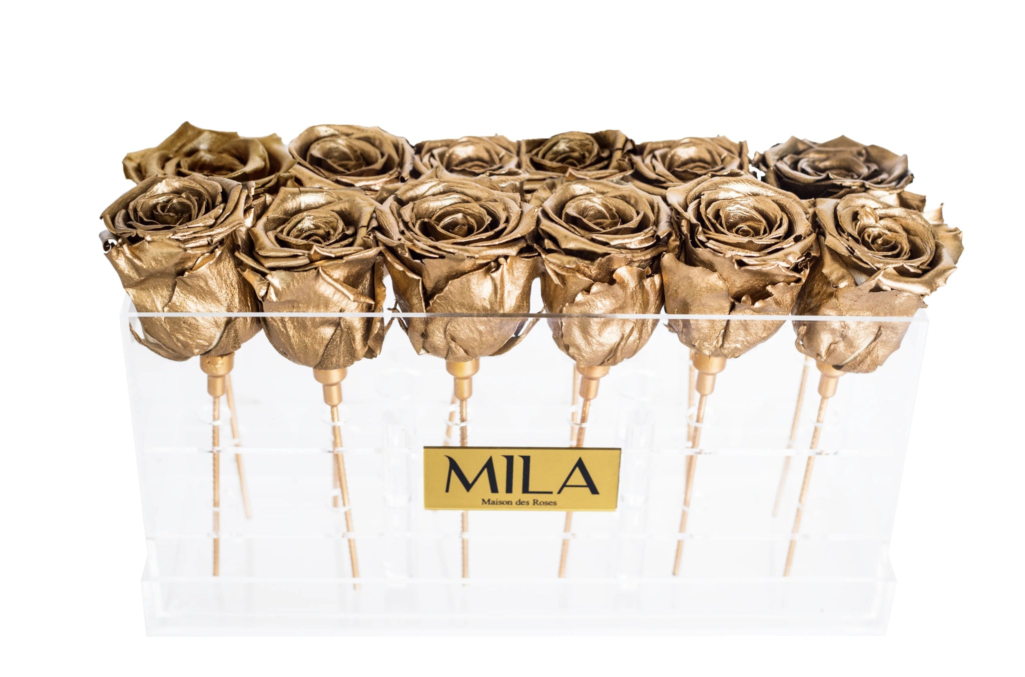 Mila Acrylic Table - Mila Rose