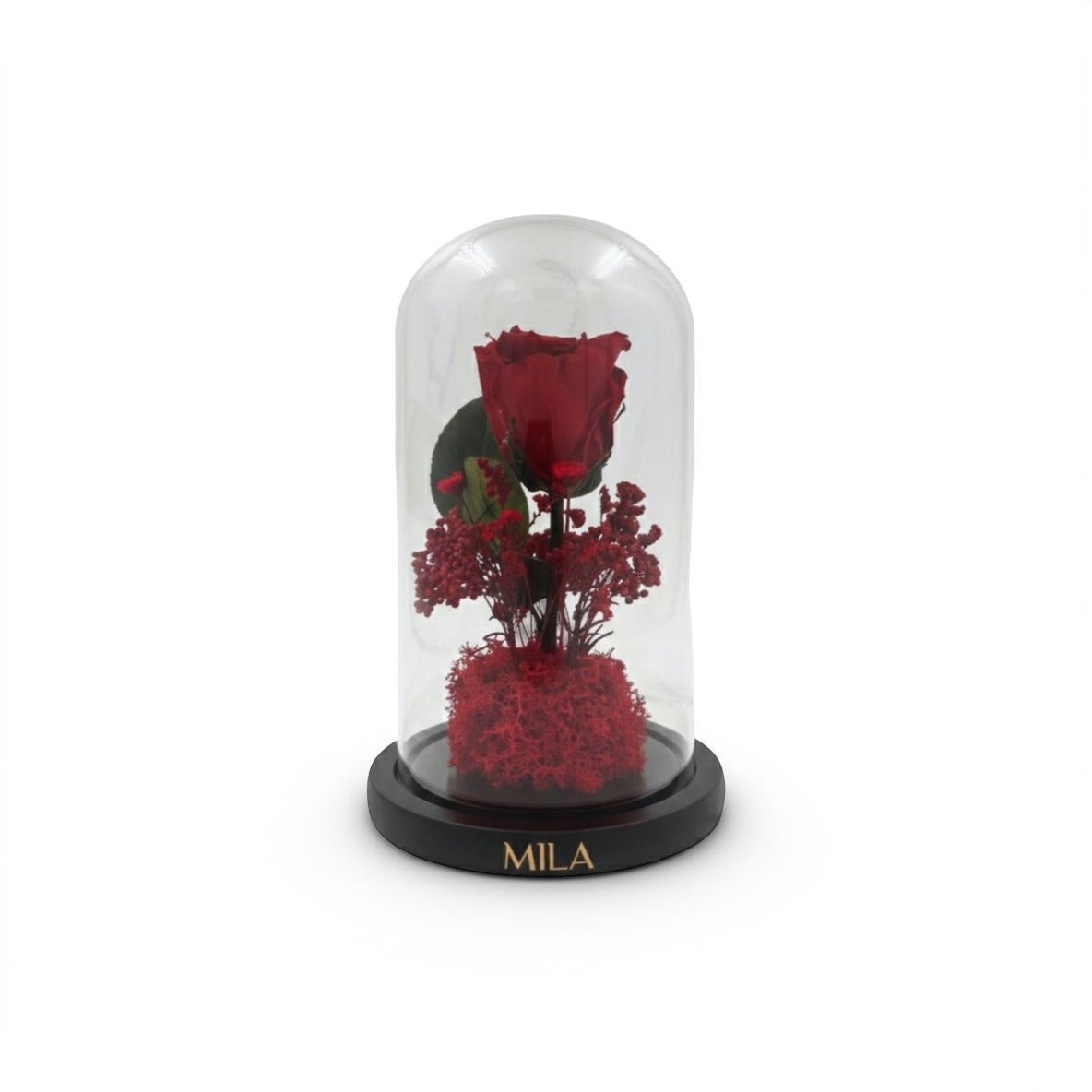 Mila Acrylique La Cloche - MILA Maison Des Roses