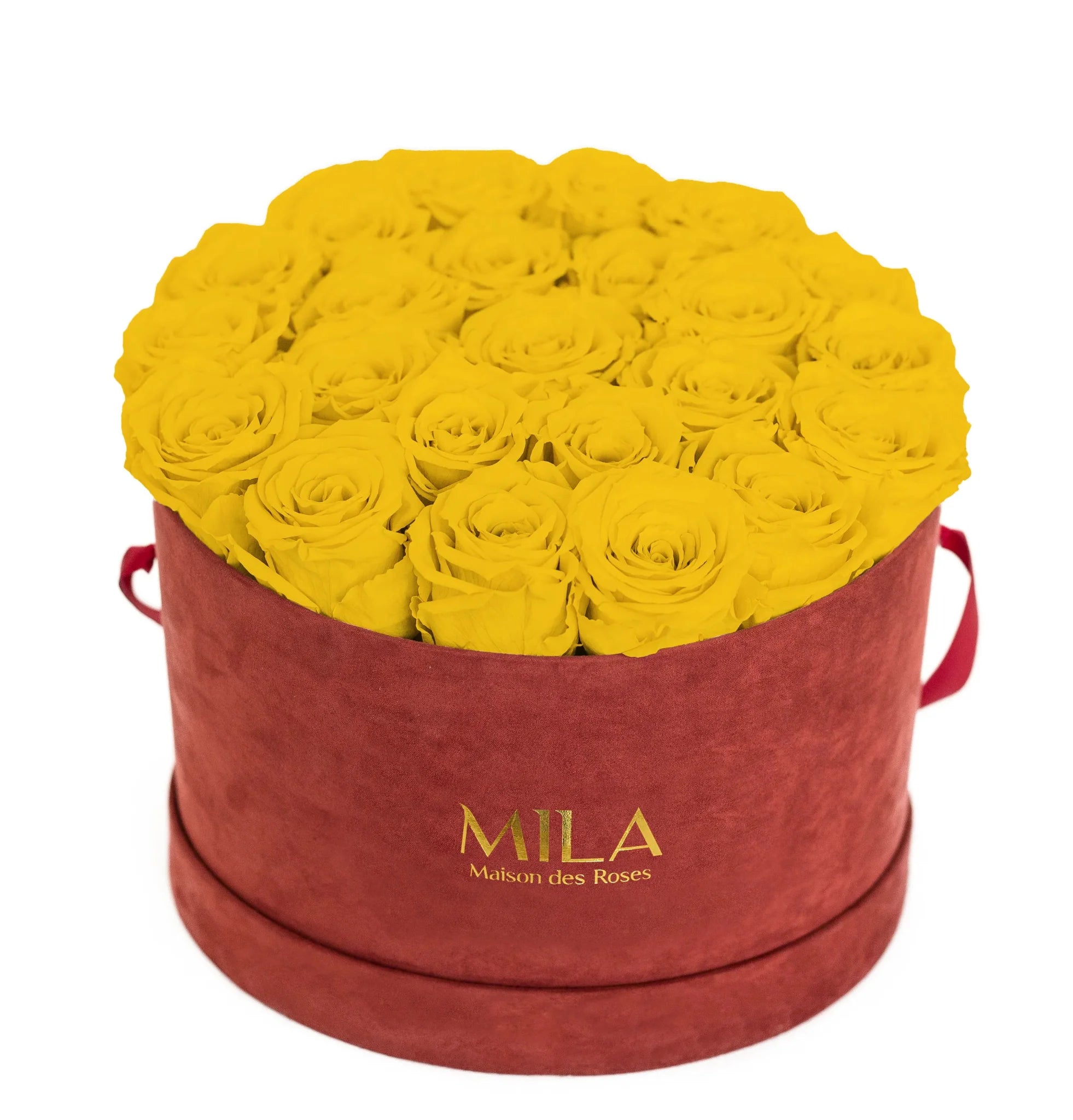 Mila Burgundy Velvet Large - Mila Rose