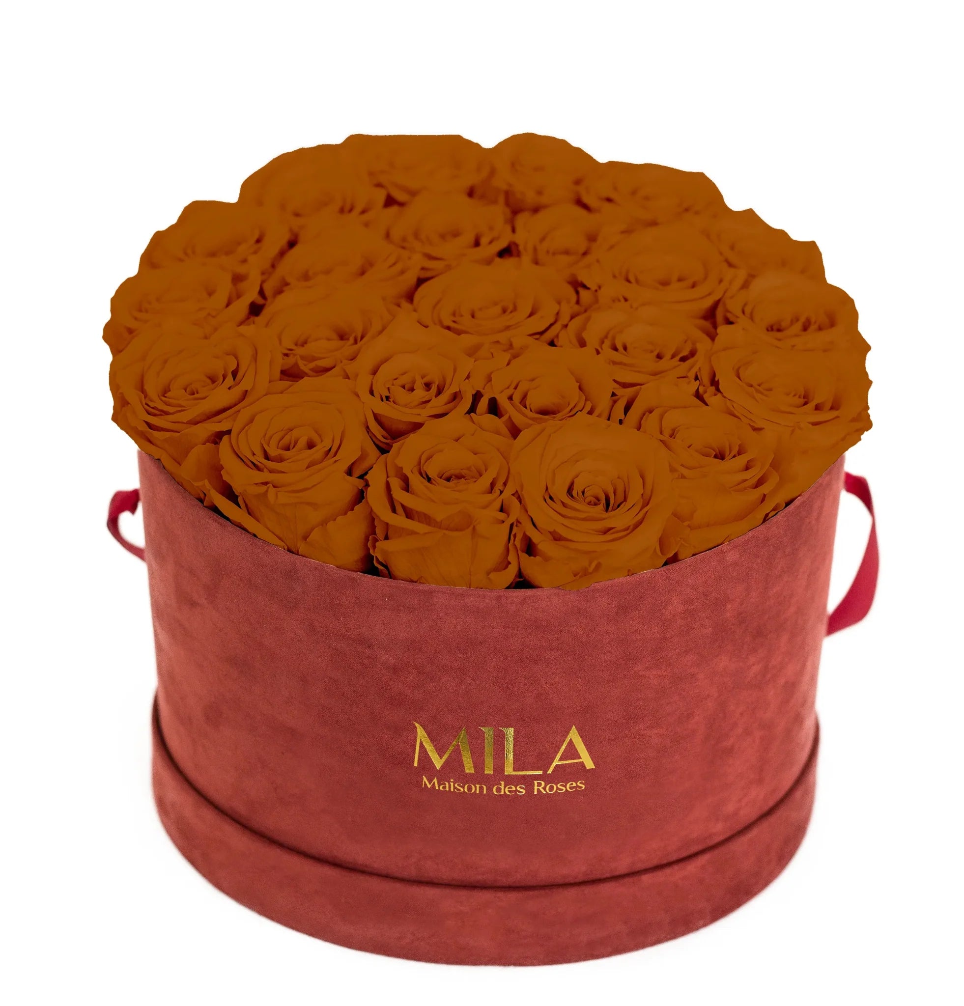 Mila Burgundy Velvet Large - Mila Rose