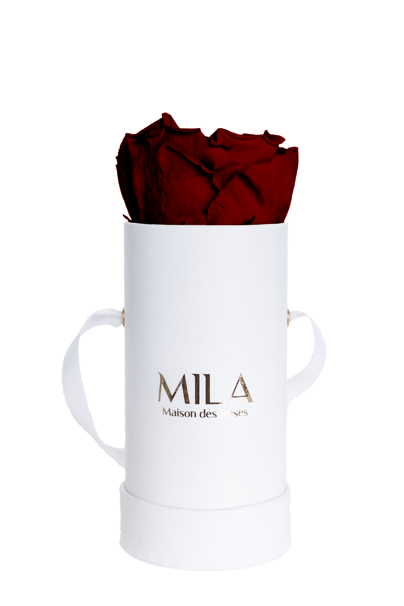 Mila Classique Baby - Mila Rose