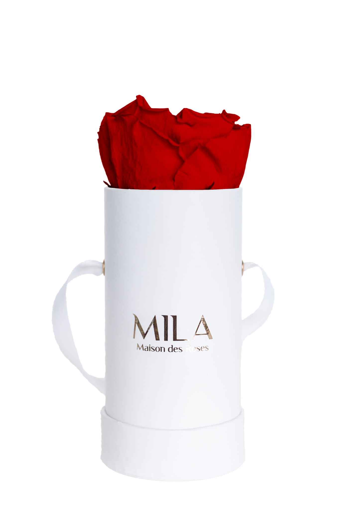 Mila Classique Baby - Mila Rose