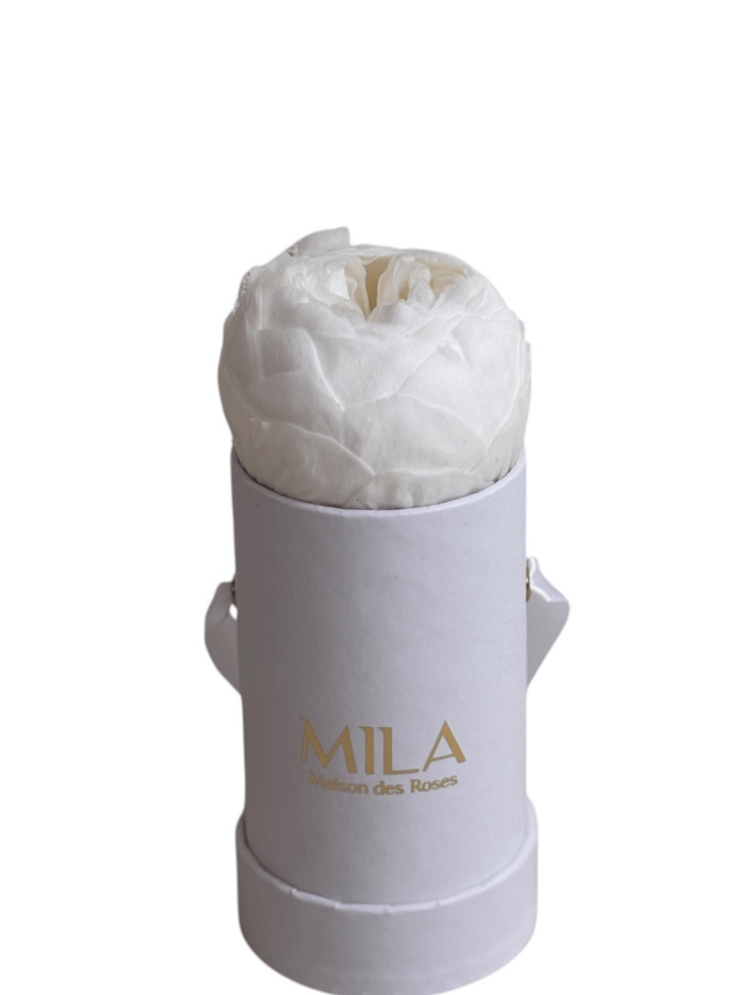 Mila Classique Baby - My Store