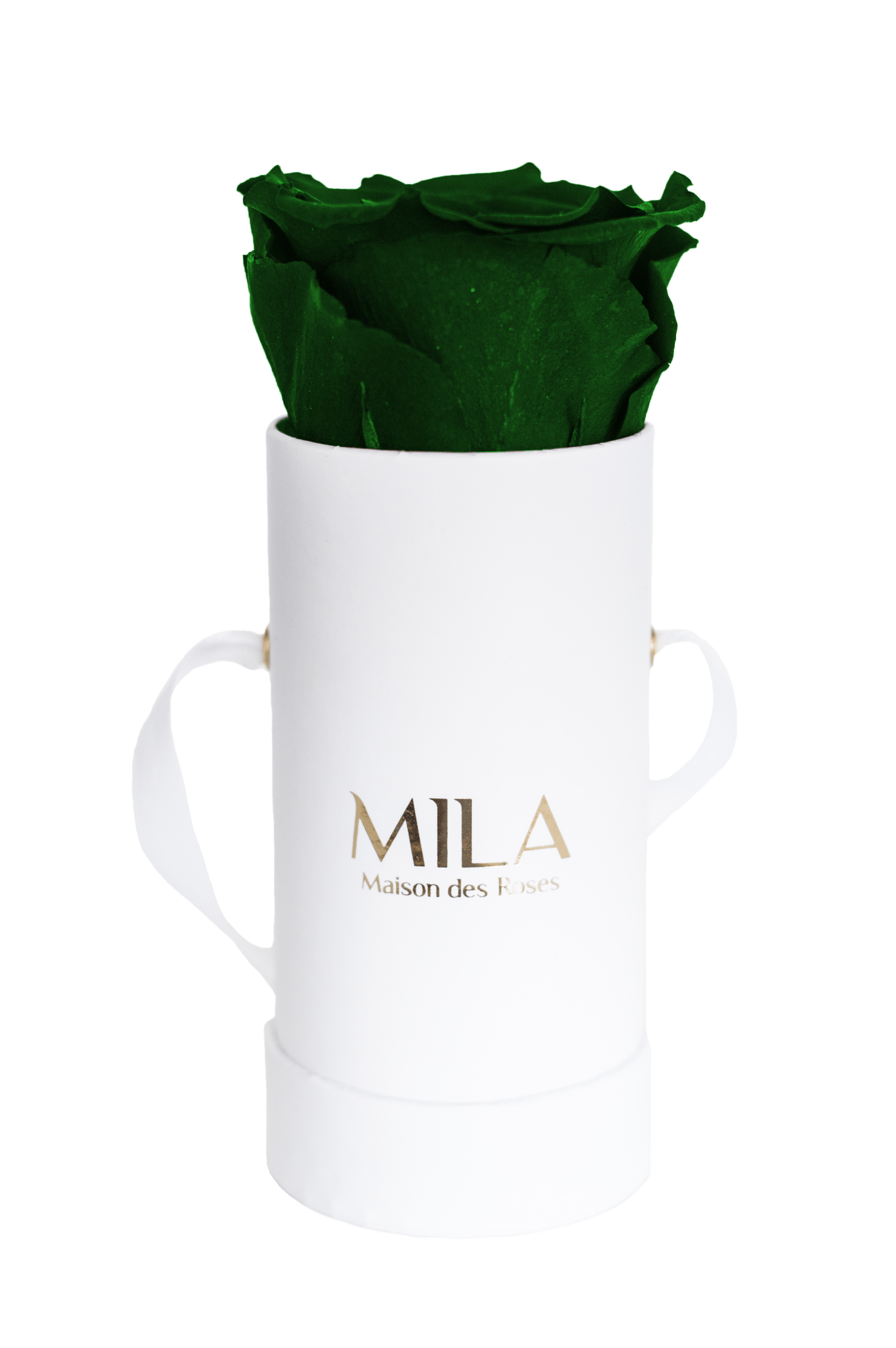 Mila Classique Baby - Mila Rose