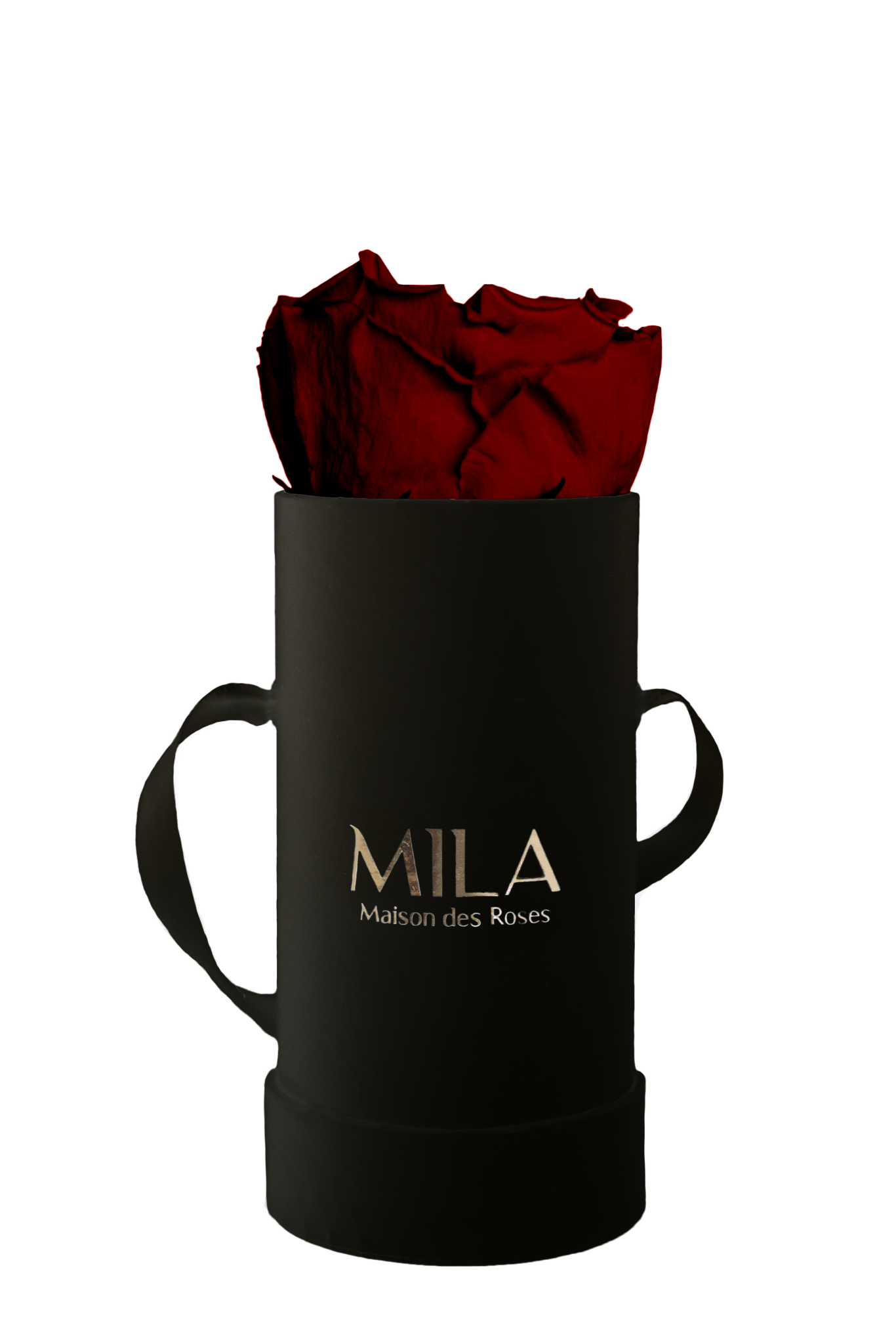 Mila Classique Baby - Mila Rose