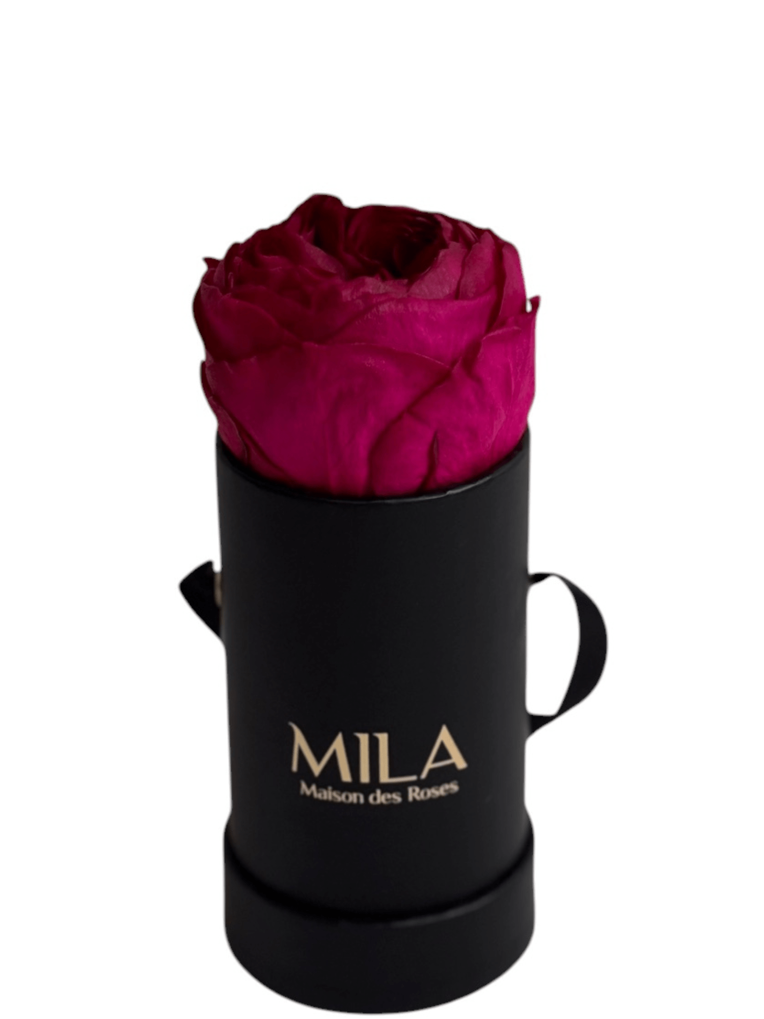 Mila Classique Baby - My Store